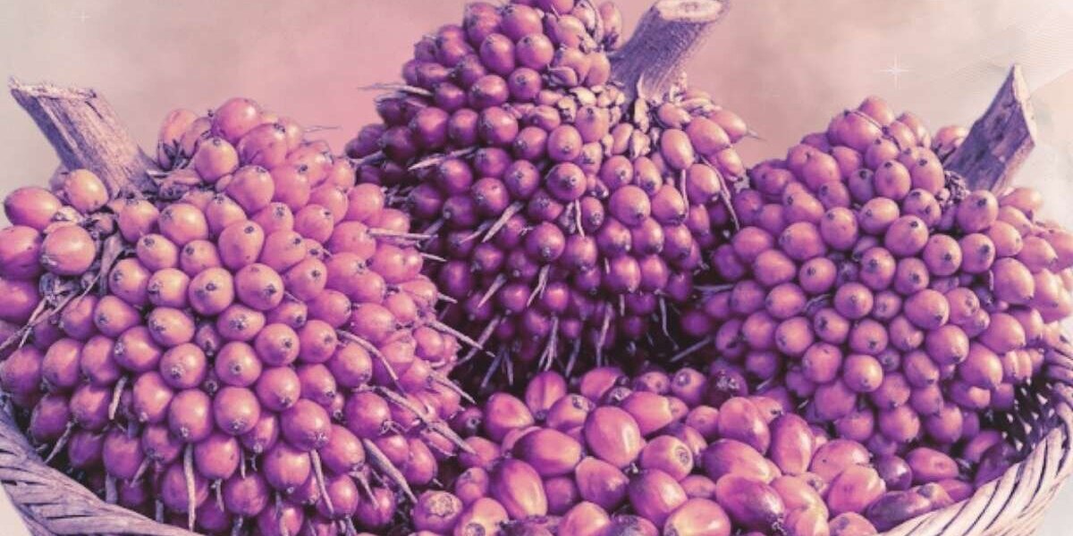 L'olio di batana per la crescita: i 10 migliori consigli